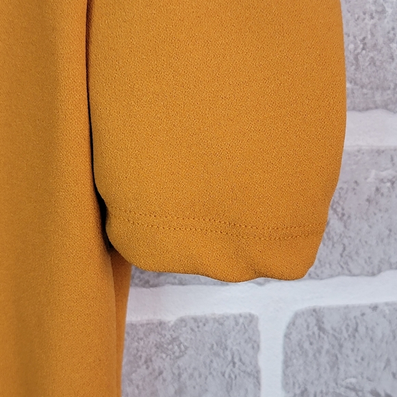 Haute Monde Burnt Orange Boho Sinched Ruffled Sleeve High Fashion Blouse Top M - Picture 13 of 16